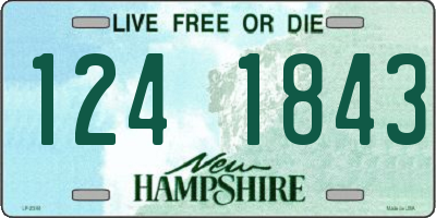 NH license plate 1241843