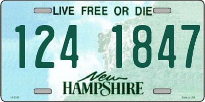 NH license plate 1241847