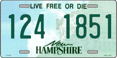 NH license plate 1241851