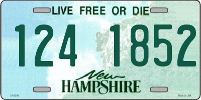 NH license plate 1241852