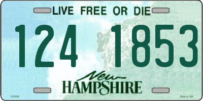 NH license plate 1241853