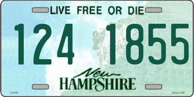 NH license plate 1241855