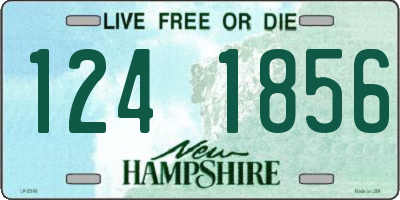NH license plate 1241856
