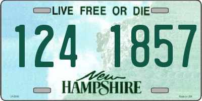 NH license plate 1241857