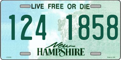 NH license plate 1241858