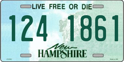 NH license plate 1241861