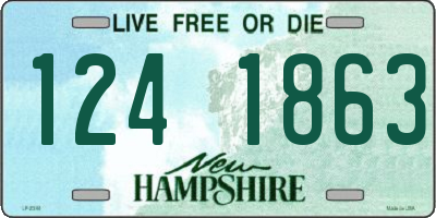 NH license plate 1241863