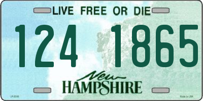 NH license plate 1241865
