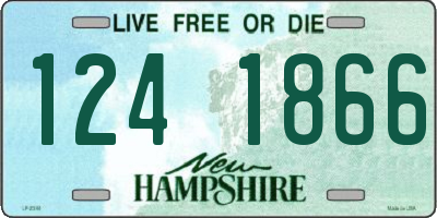 NH license plate 1241866