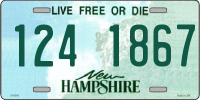NH license plate 1241867