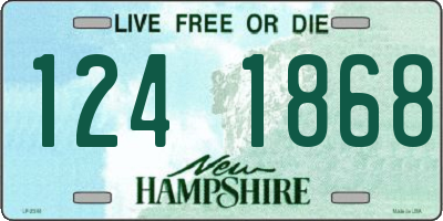 NH license plate 1241868
