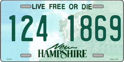 NH license plate 1241869