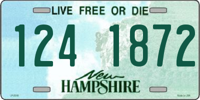 NH license plate 1241872