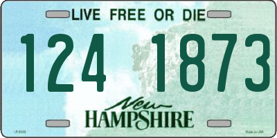 NH license plate 1241873