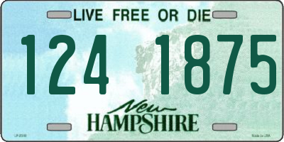NH license plate 1241875