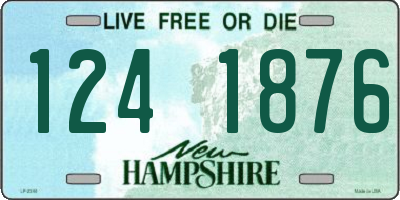 NH license plate 1241876