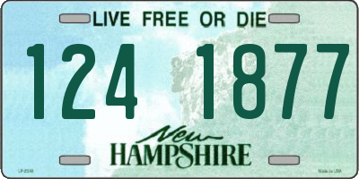 NH license plate 1241877