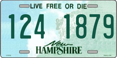 NH license plate 1241879