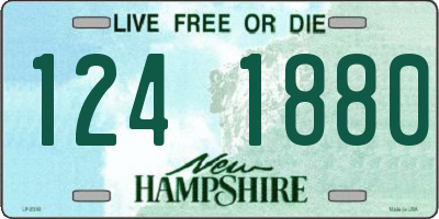 NH license plate 1241880