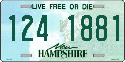 NH license plate 1241881