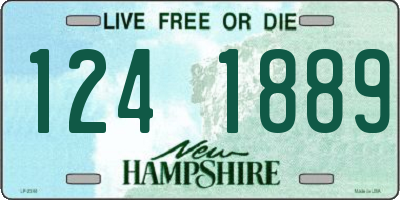NH license plate 1241889