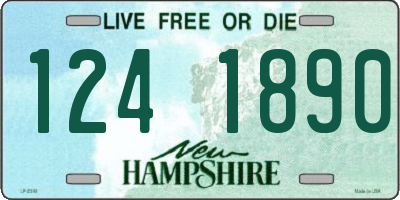 NH license plate 1241890