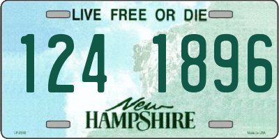 NH license plate 1241896
