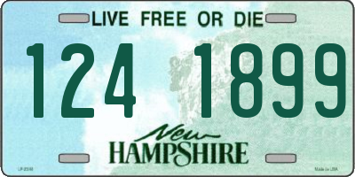 NH license plate 1241899