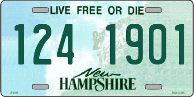 NH license plate 1241901