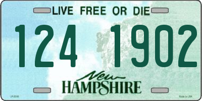 NH license plate 1241902