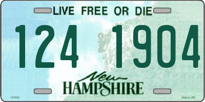 NH license plate 1241904
