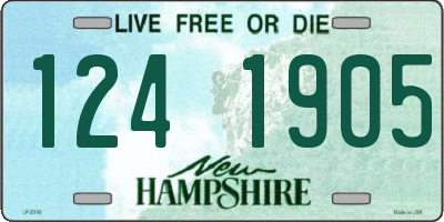 NH license plate 1241905