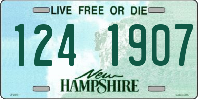 NH license plate 1241907