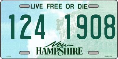 NH license plate 1241908