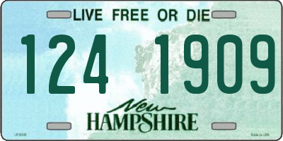 NH license plate 1241909