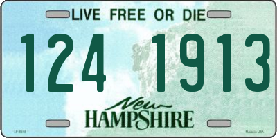 NH license plate 1241913