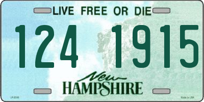 NH license plate 1241915