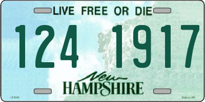 NH license plate 1241917