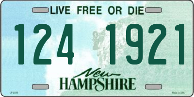 NH license plate 1241921