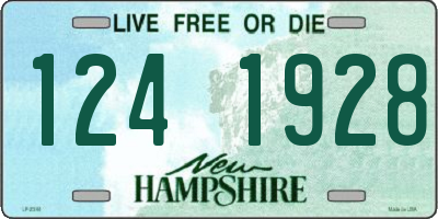 NH license plate 1241928