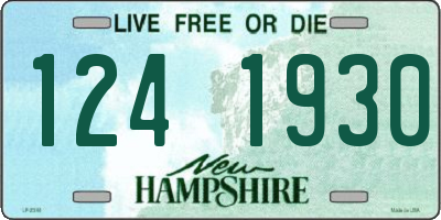 NH license plate 1241930