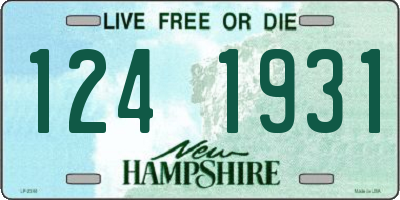 NH license plate 1241931