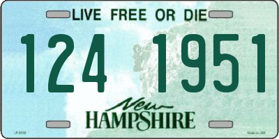 NH license plate 1241951