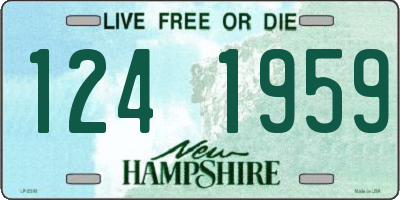 NH license plate 1241959