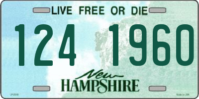 NH license plate 1241960