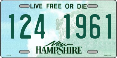 NH license plate 1241961