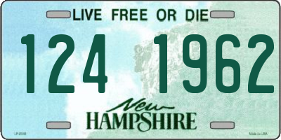 NH license plate 1241962