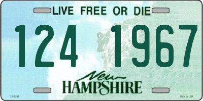 NH license plate 1241967
