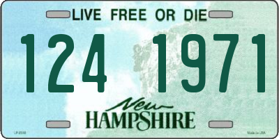 NH license plate 1241971