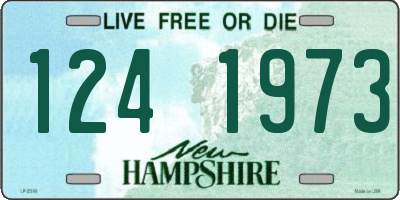 NH license plate 1241973